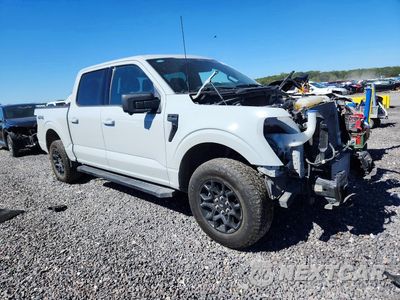 Czwarte zdjęcie samochodu z boku: 2024 FORD F150 XLT VIN:1FTEW3LP7RKD71608 - miniatura