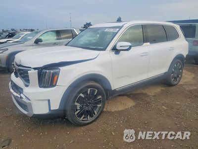 2025 KIA TELLURIDE SX-PRESTIGE 5XYP5DGC8SG633169 - główne zdjęcie licytacji z USA - miniatura