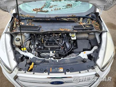 Zdjęcie 12 z 13 samochodu: 2019 FORD ESCAPE SE VIN:1FMCU9GD9KUB91438 - miniatura