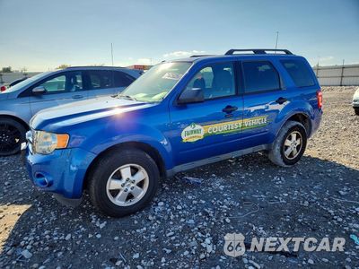 2011 FORD ESCAPE XLT 1FMCU0DG5BKA53711 - główne zdjęcie licytacji z USA - miniatura
