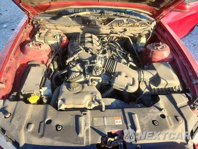 Zdjęcie 11 z 12 samochodu: 2014 FORD MUSTANG VIN:1ZVBP8AM2E5258757 - miniatura