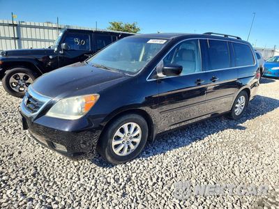 2008 HONDA ODYSSEY EXL 5FNRL38608B000537 - główne zdjęcie licytacji z USA - miniatura