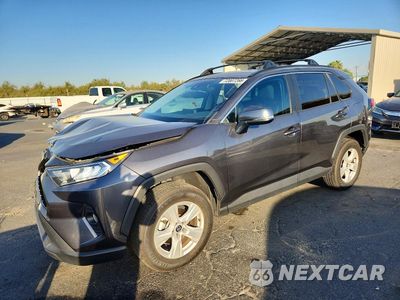2021 TOYOTA RAV4 XLE 2T3P1RFV3MC229469 - główne zdjęcie licytacji z USA - miniatura