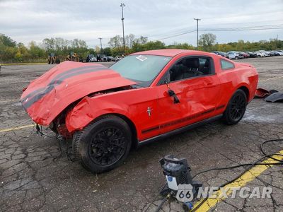 2012 FORD MUSTANG 1ZVBP8AM4C5260331 - główne zdjęcie licytacji z USA - miniatura