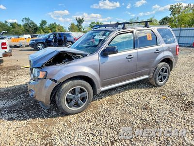 2011 FORD ESCAPE XLT 1FMCU0D79BKB96211 - główne zdjęcie licytacji z USA - miniatura