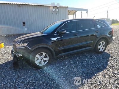 2023 KIA SORENTO LX 5XYRG4LC4PG227437 - główne zdjęcie licytacji z USA - miniatura