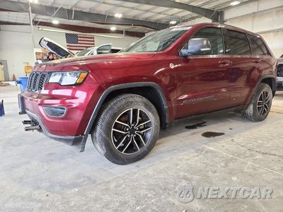2020 JEEP GRAND CHEROKEE TRAILHAWK 1C4RJFLG3LC137176 - główne zdjęcie licytacji z USA - miniatura