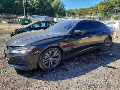 2022 ACURA TLX TECH A 19UUB5F58NA004618 - główne zdjęcie licytacji z USA - miniatura