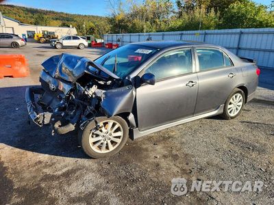 2009 TOYOTA COROLLA S 2T1BU40E89C084166 - główne zdjęcie licytacji z USA - miniatura