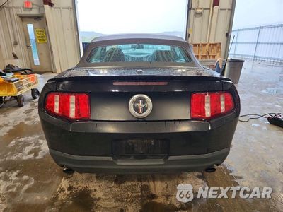 Zdjęcie 6 z 12 samochodu: 2012 FORD MUSTANG VIN:1ZVBP8EM2C5206312 - miniatura
