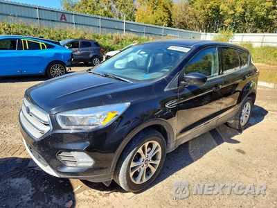 2019 FORD ESCAPE SE 1FMCU9GD5KUC01611 - główne zdjęcie licytacji z USA - miniatura