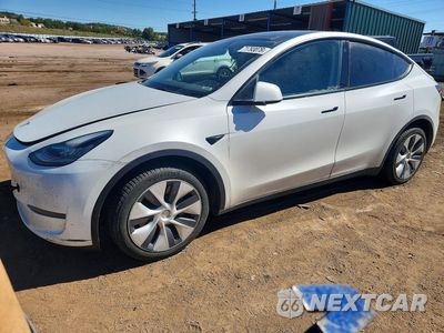 2023 TESLA MODEL Y 7SAYGDEE1PA082990 - główne zdjęcie licytacji z USA - miniatura