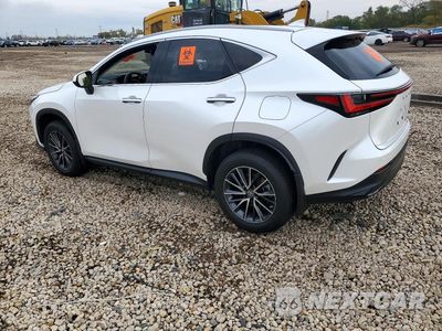 Drugie zdjęcie samochodu z przodu: 2022 LEXUS NX 250 VIN:2T2GDCEZ1NC001890 - miniatura