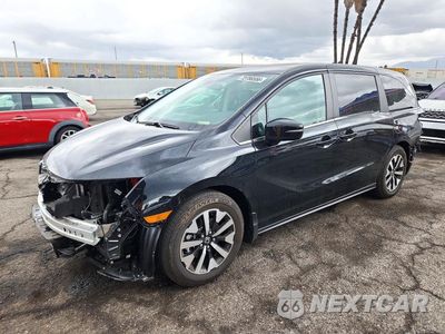 2025 HONDA ODYSSEY EXL 5FNRL6H67SB067953 - główne zdjęcie licytacji z USA - miniatura