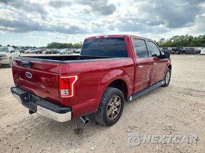 Trzecie zdjęcie samochodu z tyłu: 2016 FORD F150 SUPERCREW VIN:1FTEW1CP6GKF95048 - miniatura