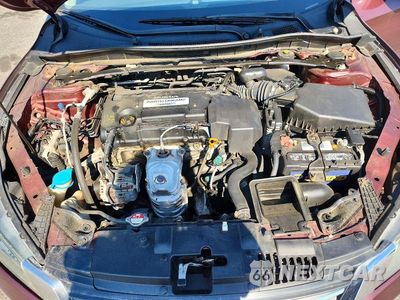 Zdjęcie 11 z 12 samochodu: 2013 HONDA ACCORD EXL VIN:1HGCR2F87DA054859 - miniatura