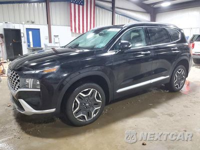 2023 HYUNDAI SANTA FE LIMITED 5NMS4DAL5PH509962 - główne zdjęcie licytacji z USA - miniatura
