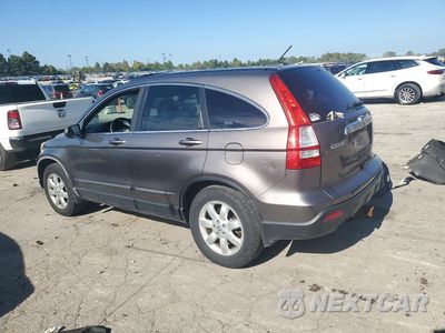 Drugie zdjęcie samochodu z przodu: 2009 HONDA CR-V EXL VIN:5J6RE48769L018736 - miniatura