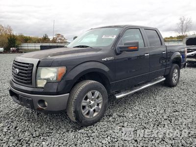 2011 FORD F150 SUPERCREW 1FTFW1EF3BKD99490 - główne zdjęcie licytacji z USA - miniatura