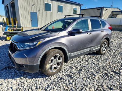 2017 HONDA CR-V EXL 2HKRW2H86HH129144 - główne zdjęcie licytacji z USA - miniatura