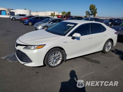 2020 TOYOTA CAMRY XLE 4T1F31AK2LU545391 - główne zdjęcie licytacji z USA - miniatura