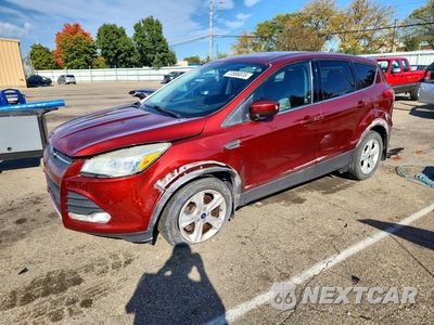 2014 FORD ESCAPE SE 1FMCU9GX0EUC90941 - główne zdjęcie licytacji z USA - miniatura
