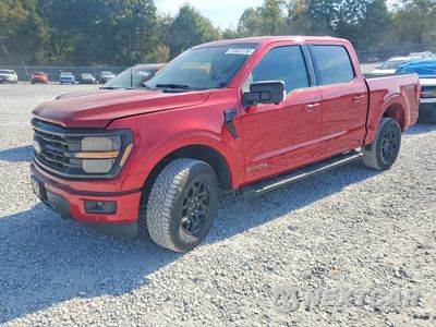 2024 FORD F150 XLT 1FTFW3LD2RFB69424 - główne zdjęcie licytacji z USA - miniatura
