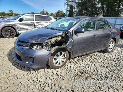 2011 TOYOTA COROLLA LE 2T1BU4EE9BC741507 - główne zdjęcie licytacji z USA - miniatura