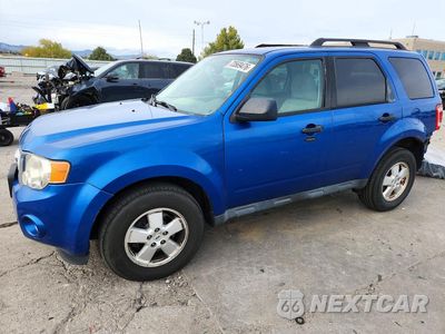 2011 FORD ESCAPE XLT 1FMCU9D79BKB60992 - główne zdjęcie licytacji z USA - miniatura