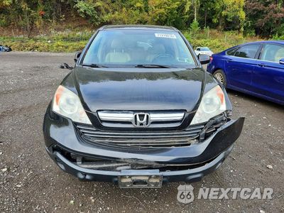 Piąte zdjęcie samochodu w środku: 2009 HONDA CR-V EXL VIN:5J6RE48709L062327 - miniatura