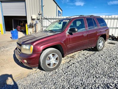 2007 CHEVROLET TRAILBLAZER LS 1GNDT13S872304260 - główne zdjęcie licytacji z USA - miniatura