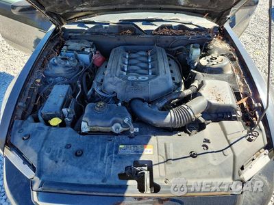 Zdjęcie 11 z 12 samochodu: 2014 FORD MUSTANG GT VIN:1ZVBP8CF1E5297953 - miniatura