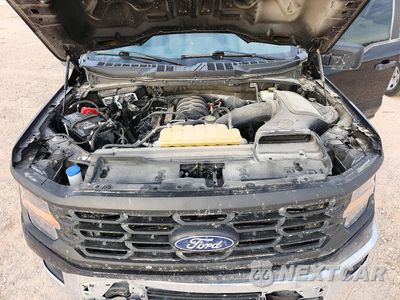 Zdjęcie 11 z 12 samochodu: 2024 FORD F150 XL VIN:1FTMF1L58RKD06054 - miniatura