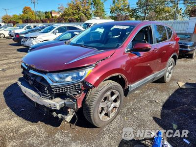 2019 HONDA CR-V EX 2HKRW2H52KH623384 - główne zdjęcie licytacji z USA - miniatura