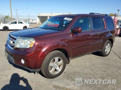 2009 HONDA PILOT EXL 5FNYF48699B020313 - główne zdjęcie licytacji z USA - miniatura