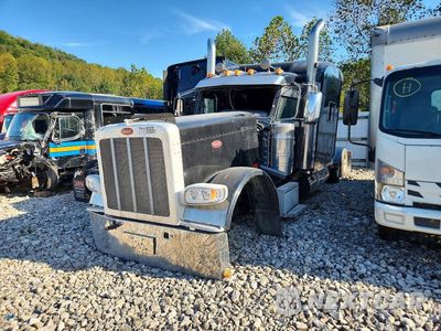 2021 PETERBILT 389 SEMI TRUCK 1XPXD49X7MD752916 - główne zdjęcie licytacji z USA - miniatura
