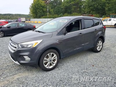 2019 FORD ESCAPE SE 1FMCU0GD4KUC19383 - główne zdjęcie licytacji z USA - miniatura