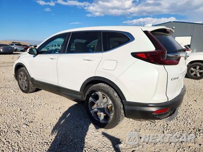 Drugie zdjęcie samochodu z przodu: 2020 HONDA CR-V EX VIN:5J6RW2H59LL038325 - miniatura