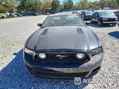Piąte zdjęcie samochodu w środku: 2014 FORD MUSTANG GT VIN:1ZVBP8CF1E5297953 - miniatura