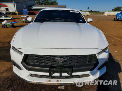 Piąte zdjęcie samochodu w środku: 2024 FORD MUSTANG VIN:1FA6P8TH2R5102637 - miniatura