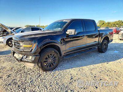 2025 FORD F150 XLT 1FTFW3L83SFB43472 - główne zdjęcie licytacji z USA - miniatura