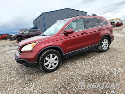 2007 HONDA CR-V EXL JHLRE48767C069076 - główne zdjęcie licytacji z USA - miniatura