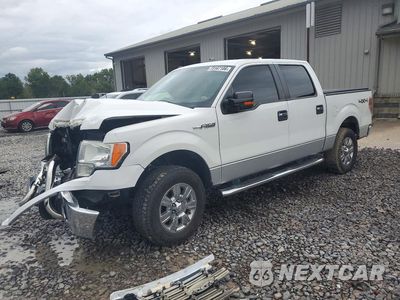 2012 FORD F150 SUPERCREW 1FTFW1EFXCFB15069 - główne zdjęcie licytacji z USA - miniatura