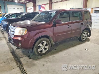 2009 HONDA PILOT EX 5FNYF48419B031546 - główne zdjęcie licytacji z USA - miniatura