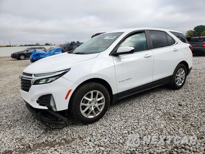2023 CHEVROLET EQUINOX LT 3GNAXUEG3PS168898 - główne zdjęcie licytacji z USA - miniatura