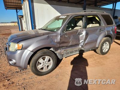 2008 FORD ESCAPE XLT 1FMCU93108KE76528 - główne zdjęcie licytacji z USA - miniatura