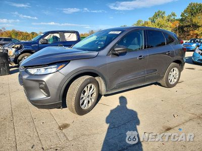 2025 FORD ESCAPE ACTIVE 1FMCU9GN5SUB07110 - główne zdjęcie licytacji z USA - miniatura