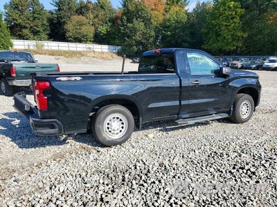 Trzecie zdjęcie samochodu z tyłu: 2023 CHEVROLET SILVERADO K1500 VIN:3GCNDAED9PG116850 - miniatura
