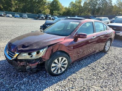 2014 HONDA ACCORD EXL 1HGCR2F89EA194493 - główne zdjęcie licytacji z USA - miniatura