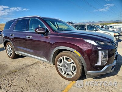 Czwarte zdjęcie samochodu z boku: 2024 HYUNDAI PALISADE LIMITED VIN:KM8R5DGE0RU735614 - miniatura